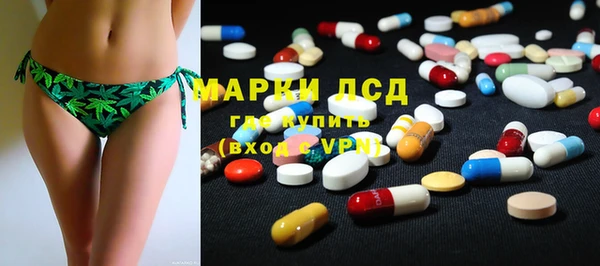 PSILOCYBIN Алзамай