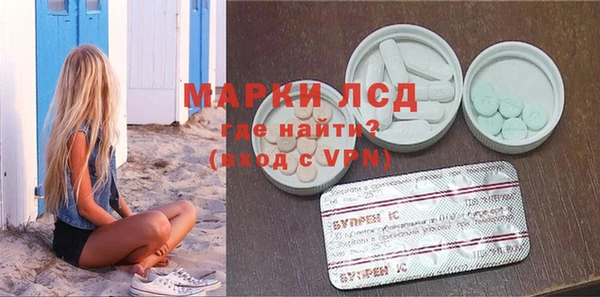 PSILOCYBIN Алзамай