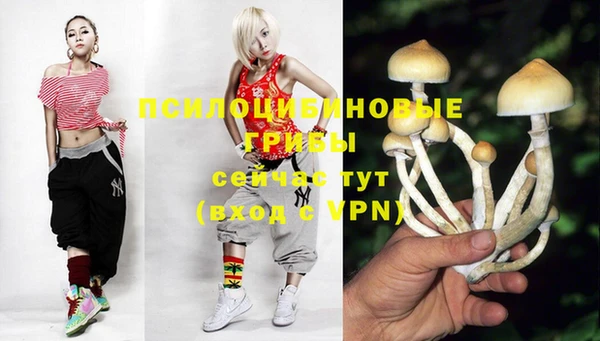PSILOCYBIN Алзамай