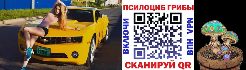 Псилоцибиновые грибы Magic Shrooms  где купить наркотик  Строитель 