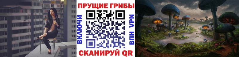 Псилоцибиновые грибы GOLDEN TEACHER Строитель